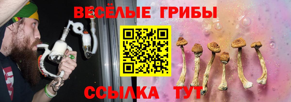 Псилоцибиновые грибы Magic Shrooms Славянск-на-Кубани