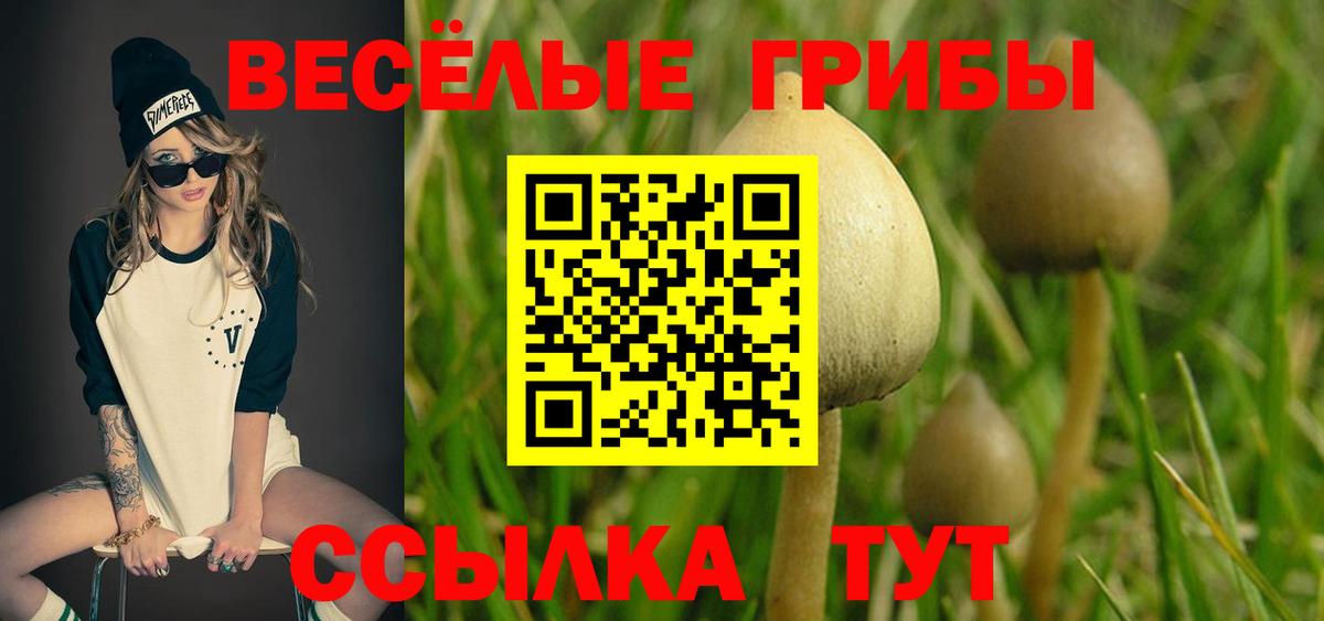 Галлюциногенные грибы Cubensis  хочу   Славянск-на-Кубани  Галлюциногенные грибы прущие грибы  Вход с VPN 